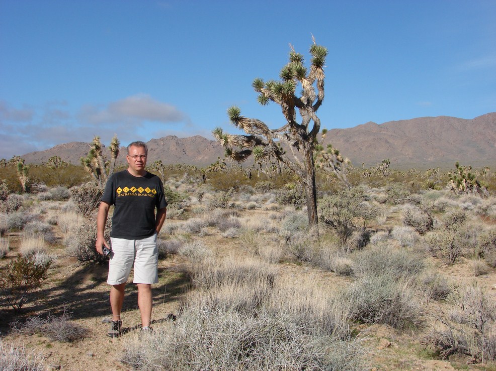 mojave (2) (Copier).JPG
